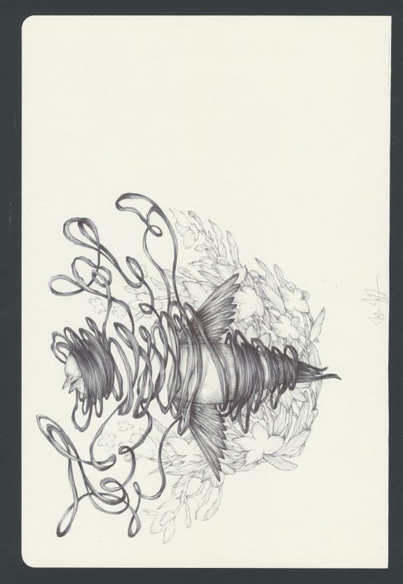 Marco Mazzoni - Illustration originale