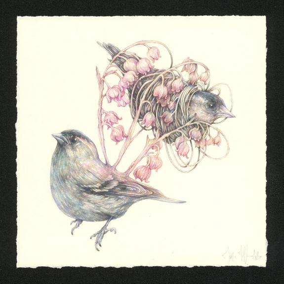 Marco Mazzoni - Journaux troubl&eacute;s, Illustration originale