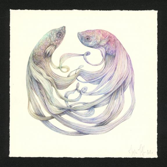 Marco Mazzoni - Journaux troubl&eacute;s, Illustration originale