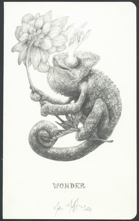 Marco Mazzoni - Illustration originale, Wonder,2021