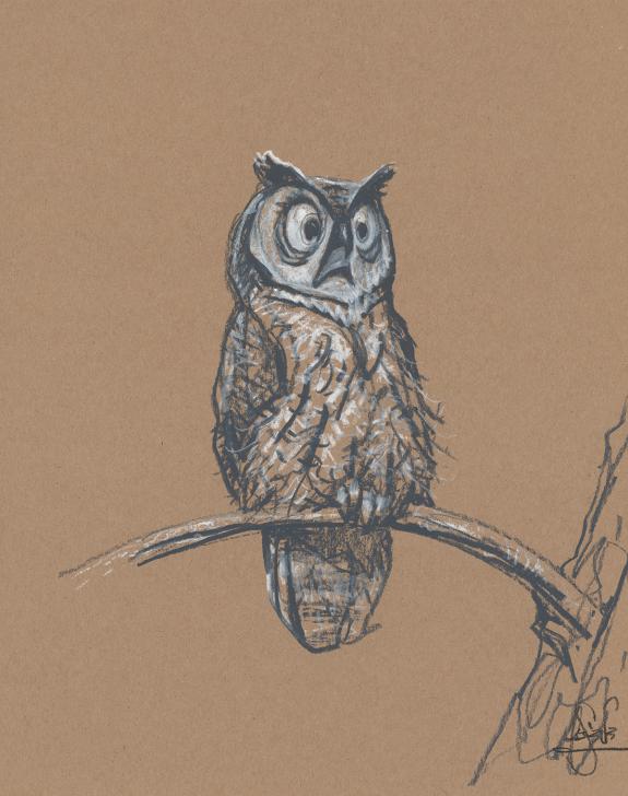 Peter de S&egrave;ve - Illustration originale