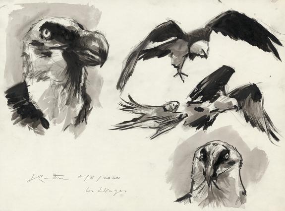 Jean-Marc Rochette - Bestiaire des Alpes, Le Gypa&egrave;te barbu, 