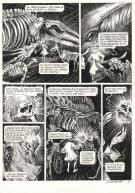 Daria Schmitt - La T&ecirc;te de mort venue de Su&egrave;de, Planche orig