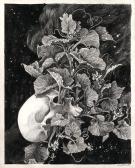 Daria Schmitt - La T&ecirc;te de mort venue de Su&egrave;de, Couverture o