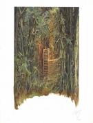 S&eacute;verine Pineaux