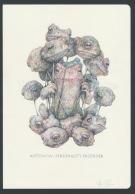 Marco Mazzoni - Illustration originale