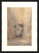 Armel Gaulme - Les Carnets Lovecraft, La Cit&eacute; sans nom, Illu