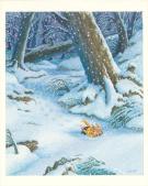 Lo&iuml;c Jouannigot - La Famille Passiflore , Romarin dans la fo