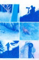 Gaetan Nocq - Les Grands Cerfs, Planche originale n&deg;155, par