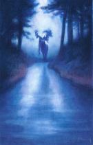 Gaetan Nocq - Les Grands Cerfs, Le Cerf myst&egrave;re
Illustration