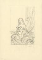 Patrice Pellerin - L'&Eacute;pervier, Illustration originale