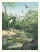 Julie Mellan - Les belles histoires de grand-m&egrave;re au jardin,