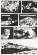 Jean-Marc Rochette - Le Loup, Planche originale n&deg; 7