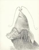 Carter Goodrich - The Hermit crab, Illustration originale, L